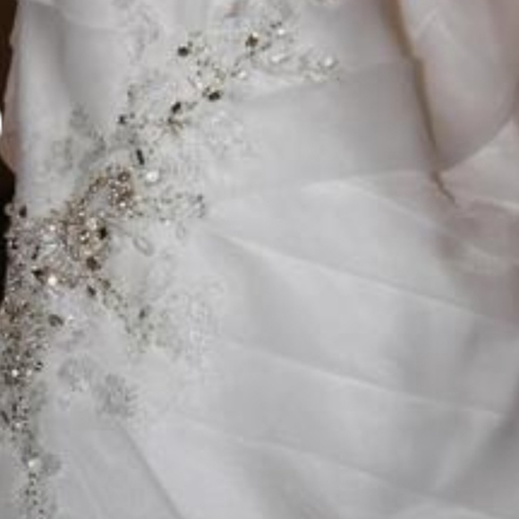 Sophia Tolli Wedding Dress - Picture 4 of 4
